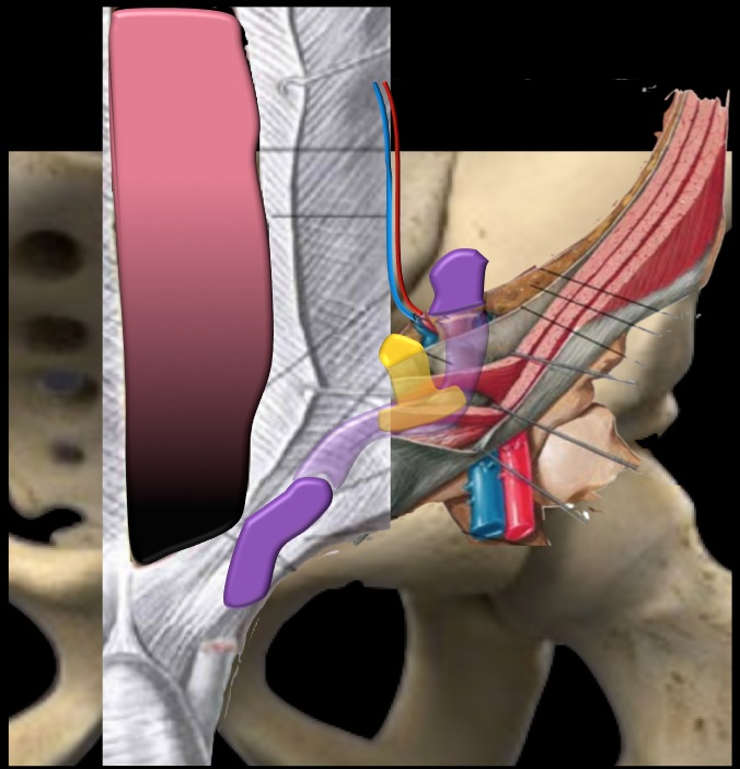 Medical image