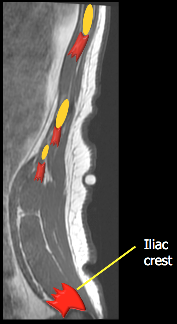 Medical image